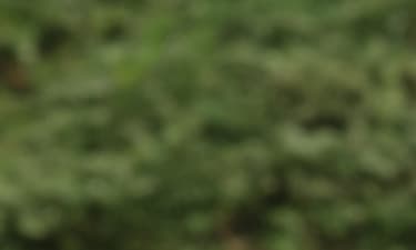 'Free-from' skin care image