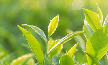 Skin care for spot-prone menopausal skin image