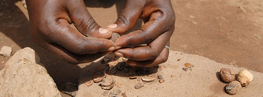 The story behind our organic Shea butter image