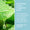 Aloe Vera-blad bredvid information om de lugnande ingredienserna i Green People Aloe Vera & Prebiotics Deodorant.