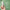 Thumbnail for Scent Free Facial Sun Cream - SPF30 dermatologically tested image