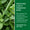 Mint-blad bredvid information om de lugnande ingredienserna i Green People for Men No. 9 Mint & Prebiotics Deodorant.