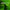 Thumbnail for videowise-widget-6650a46865d6840029d9d065-4732018688045 image